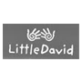 Little David