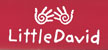 Little David